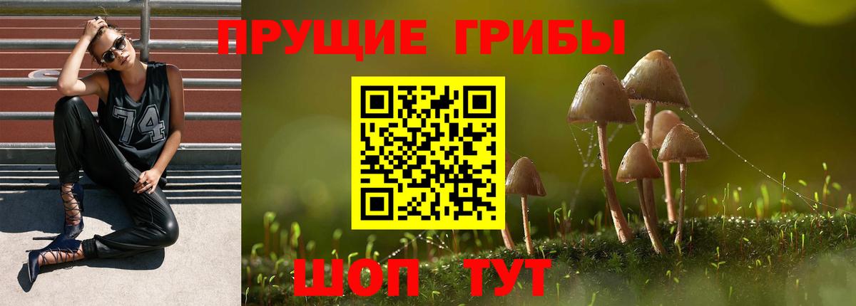 Псилоцибиновые грибы Cubensis  Вход с VPN  Кировск 
